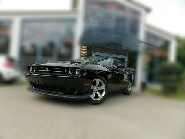 Dodge Challenger 3,6 Leder